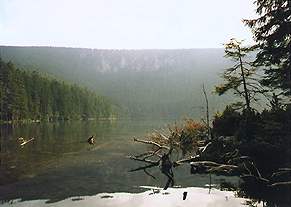 Enlarged photo 800x570 pixels, 49 kB